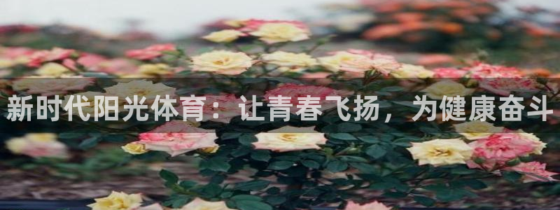 3377体育官方正版app娱乐代理怎么样：新时代阳光