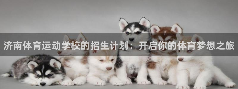 德国3377体育官方正版app集团：济南体育运动学校