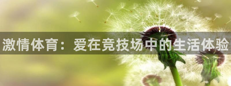 3377体育官方正版app集团官网首页：激情体育：爱
