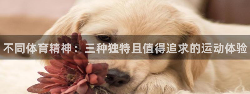 3377体育官网下载招商电话号码是多少号：不同体育精神：三种