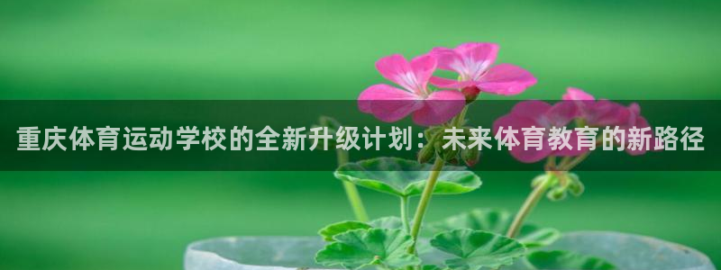 3377体育官网下载平台注册要钱吗是真的吗：重庆体育