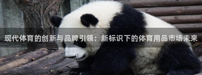 3377体育官网下载平台：现代体育的创新与品牌引领：