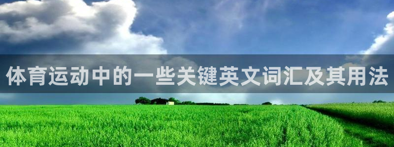 3377体育官网下载平台注册要钱吗安全吗：体育运动中