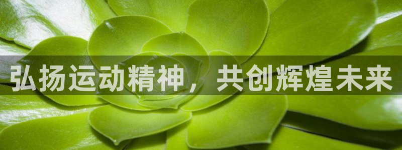3377体育官网下载招商：弘扬运动精神，共创辉煌未来