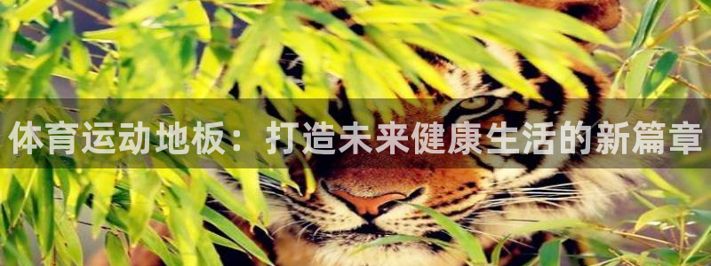 3377体育官方正版app集团E.ON：体育运动地板