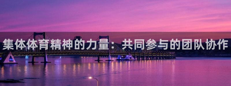 3377体育官方正版app官网：集体体育精神的力量：