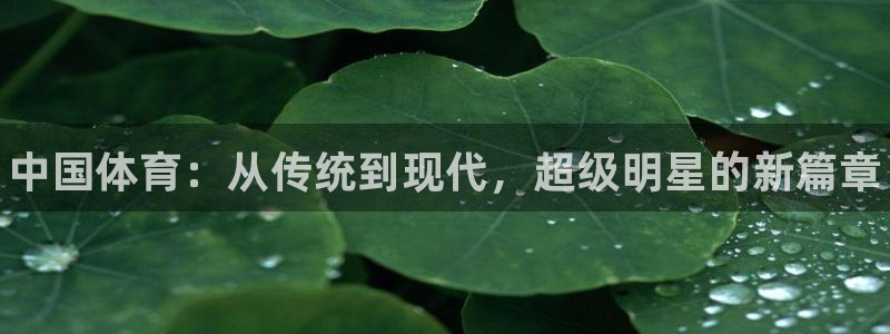 3377体育官方正版app代理：中国体育：从传统到现