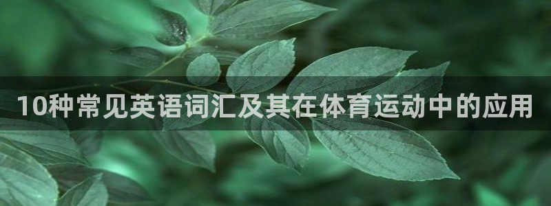 3377体育官网下载娱乐：10种常见英语词汇及其在体