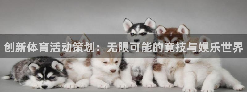 海南3377体育官网下载发展怎么样：创新体育活动策划