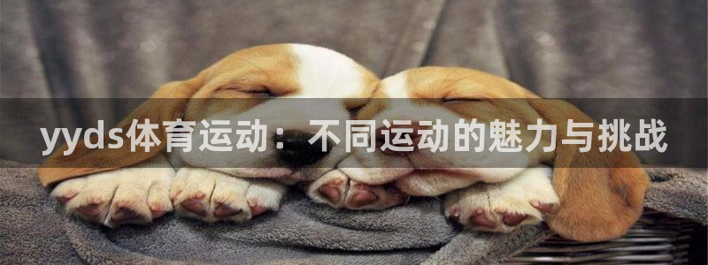 海南3377体育官网下载发展怎么样：yyds体育运动