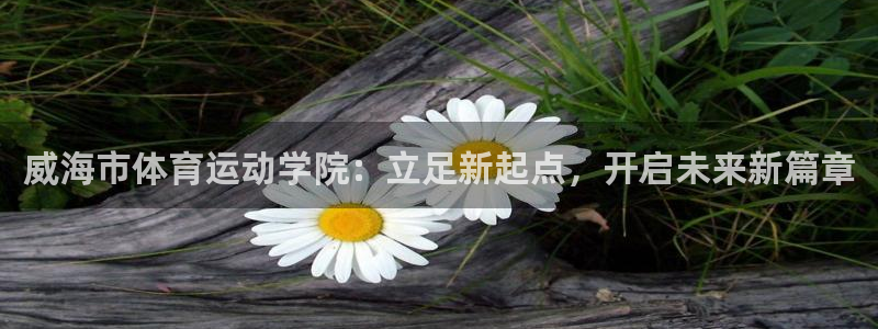 3377体育官方正版app集团官网首页：威海市体育运