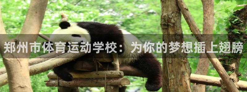 3377体育官网下载招商电话号码查询是多少：郑州市体