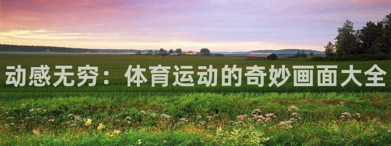 3377体育官方正版app官方：动感无穷：体育运动的