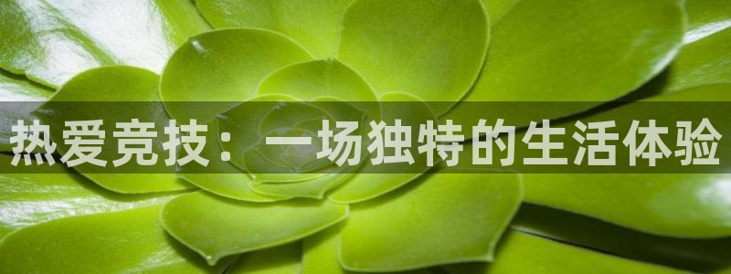 3377体育官方正版app娱乐40996：热爱竞技：