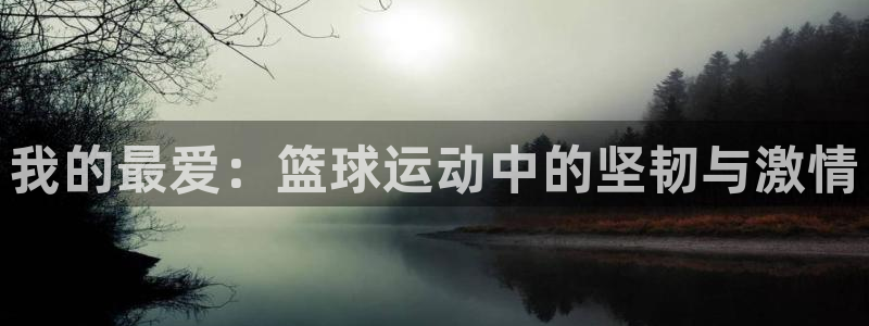 3377体育官网下载平台是正规平台吗知乎：我的最爱：