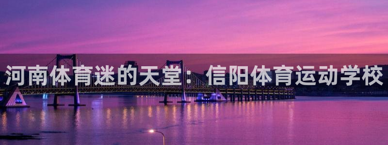 3377体育官方正版app集团简介：河南体育迷的天堂