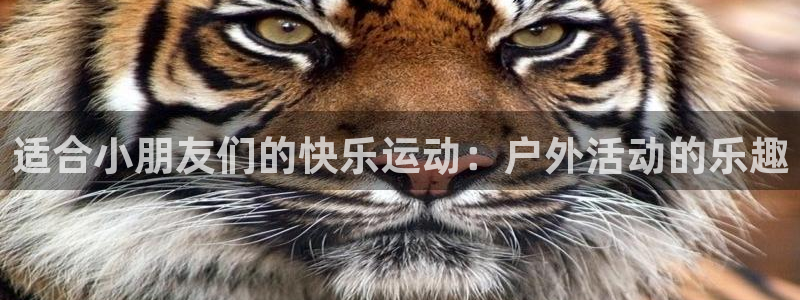 3377体育官方正版app娱乐40996：适合小朋友