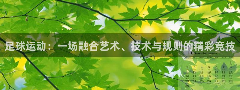 3377体育官网下载：足球运动：一场融合艺术、技术与