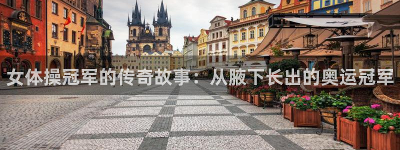 3377体育官方正版app新能源：女体操冠军的传奇故