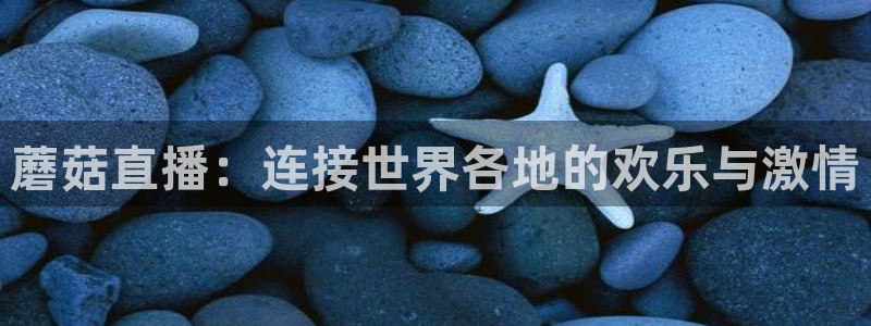 黑白体育直播nba免费观看：蘑菇直播：连接世界各地的欢乐与激情