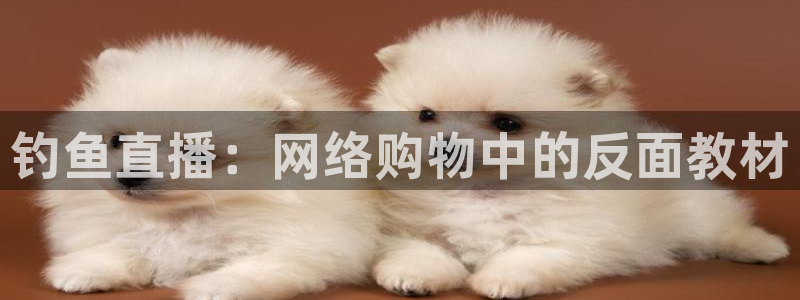 黑白直播体育nba直播app：钓鱼直播：网络购物中的反面教材