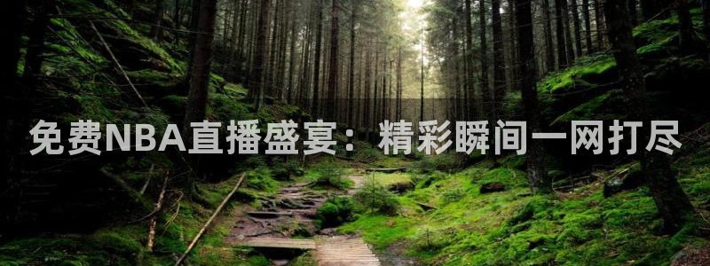 nba在线黑白直播：免费NBA直播盛宴：精彩瞬间一网打尽