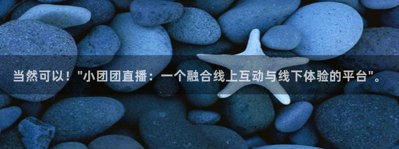 黑白足球直播在线观看免费
