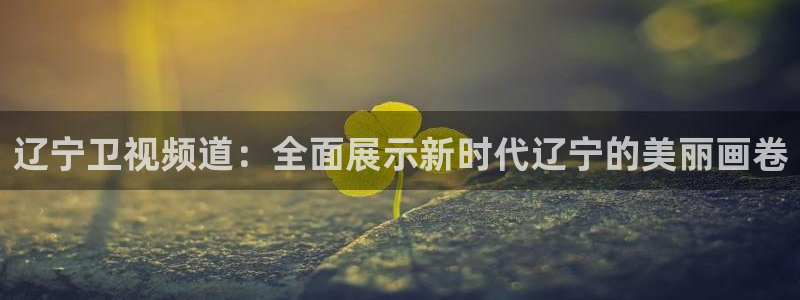 黑白直播nba赛事免费观看