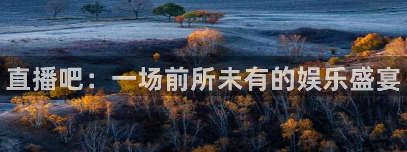 黑白直播体育app官网：直播吧：一场前所未有的娱乐盛宴