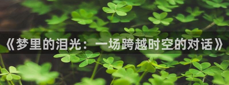 黑白体育在线直播免费观看nba：《梦里的泪光：一场跨越时空的对话》